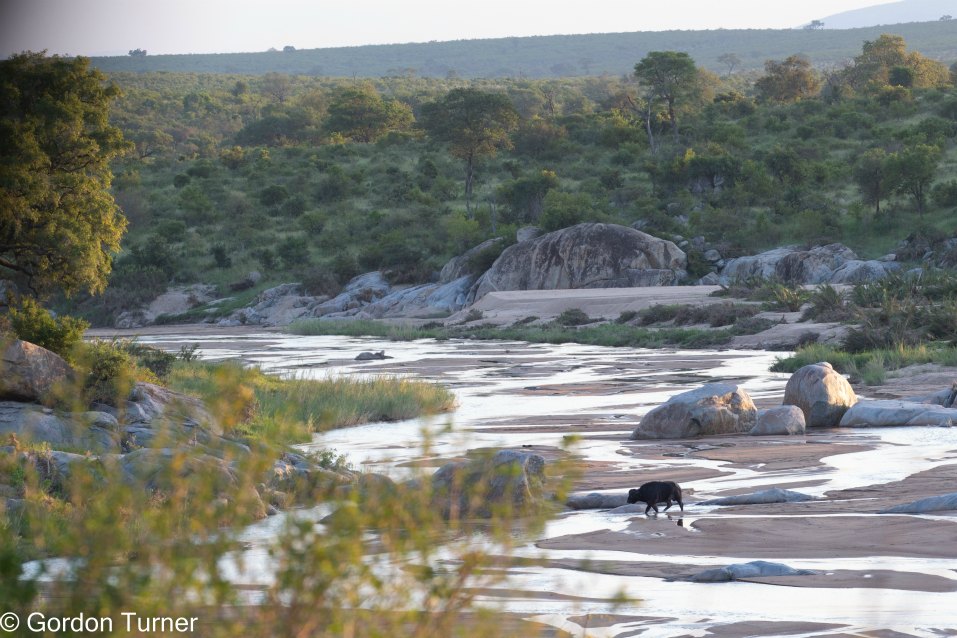 <h2>The Best of South Africa Escorted 2023</h2> 14 Nights | 6 Rounds | March 11 - 25